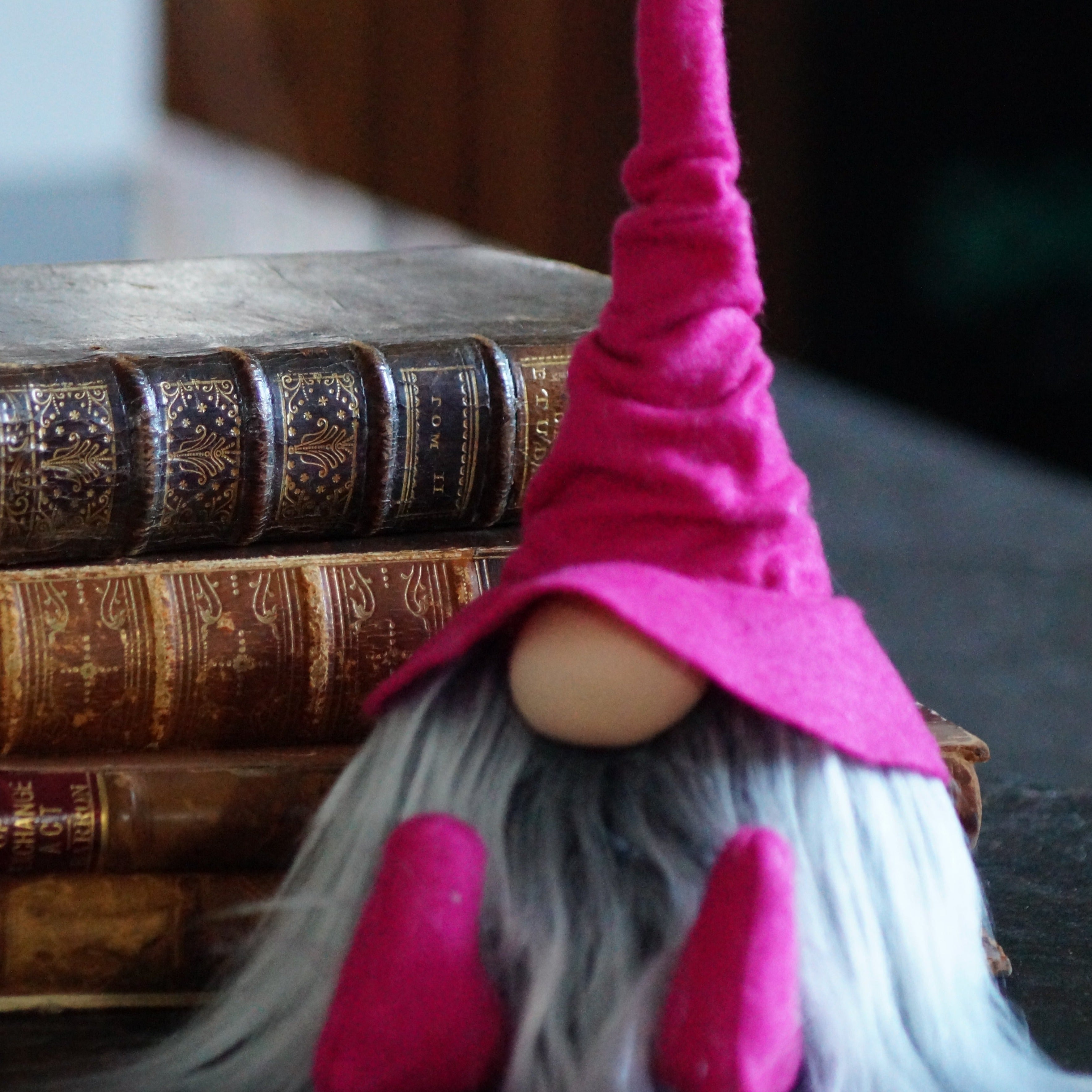 Pink Librarian Wizard Gnome