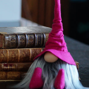 Pink Librarian Wizard Gnome