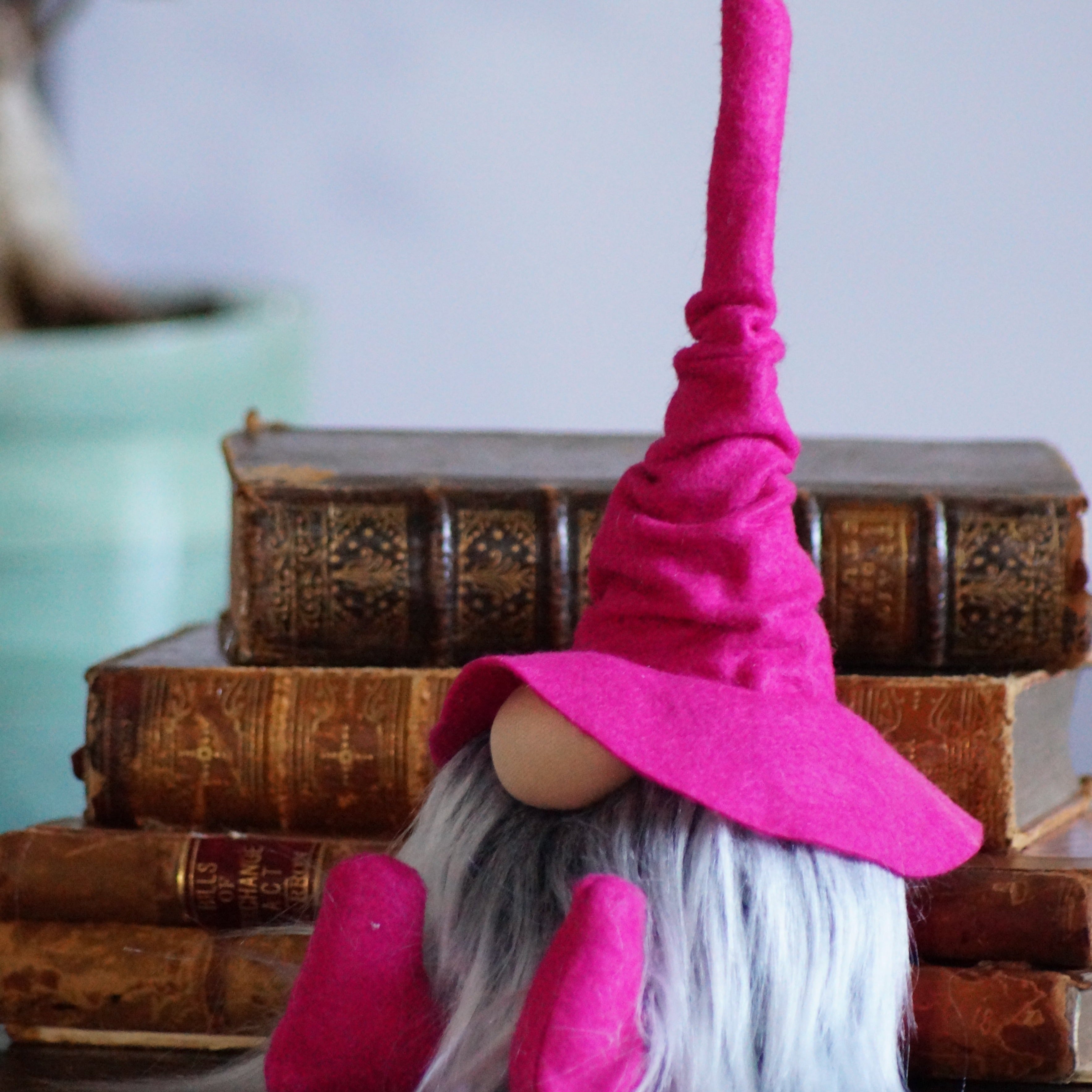 Pink Librarian Wizard Gnome