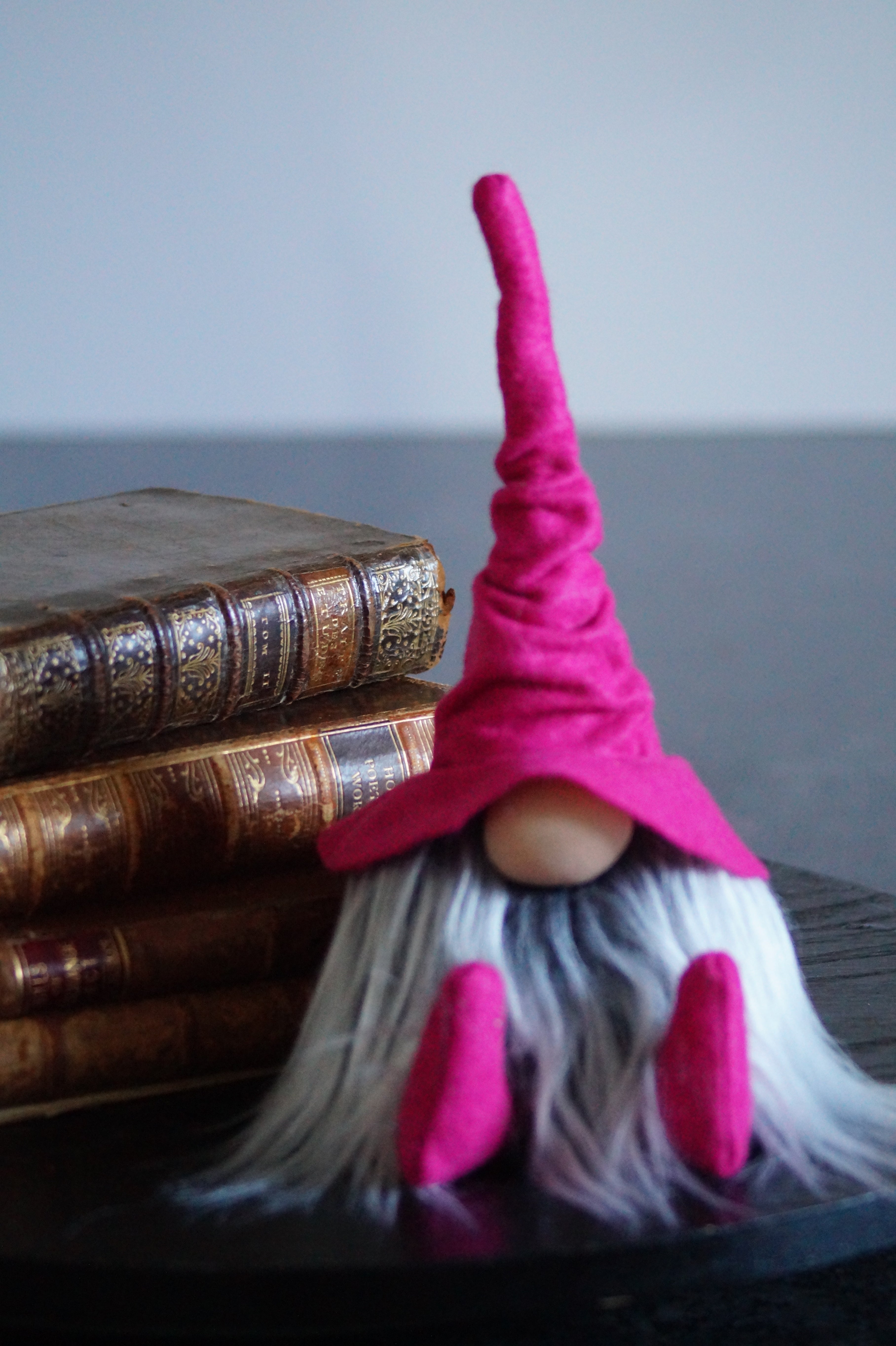 Pink Librarian Wizard Gnome