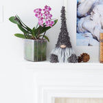 Load image into Gallery viewer, Decorative gnome with a plant and artwork on a shelf
