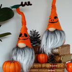 Load image into Gallery viewer, Two Halloween-themed gnomes with orange hats and gray hair, surrounded by pumpkins and books on a white background.

