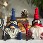 Load image into Gallery viewer, Ski Buddy Goggles McGee
