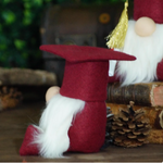 Load image into Gallery viewer, Graduation gnome
