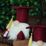 Load image into Gallery viewer, Graduation gnome
