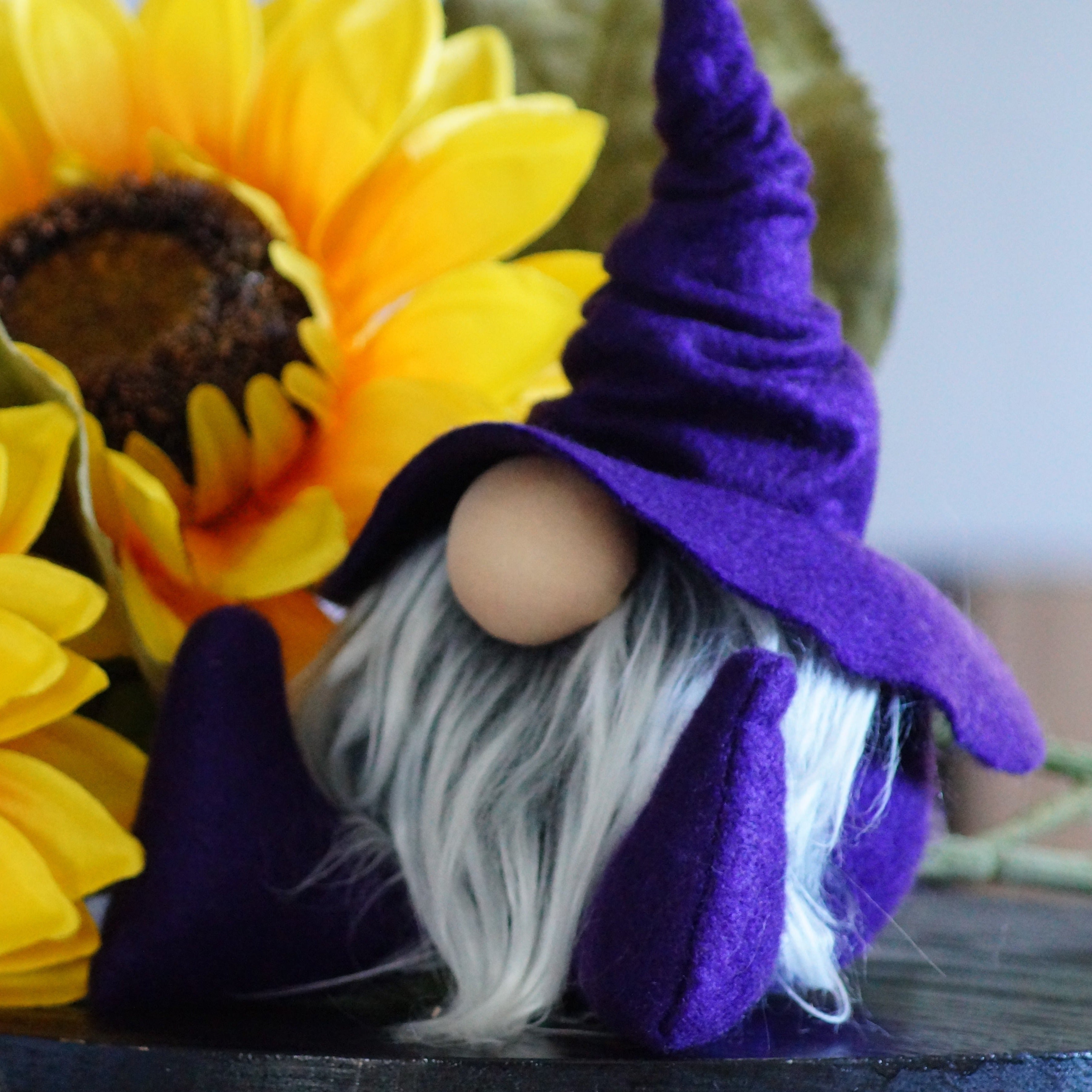 Purple Librarian Wizard Gnome