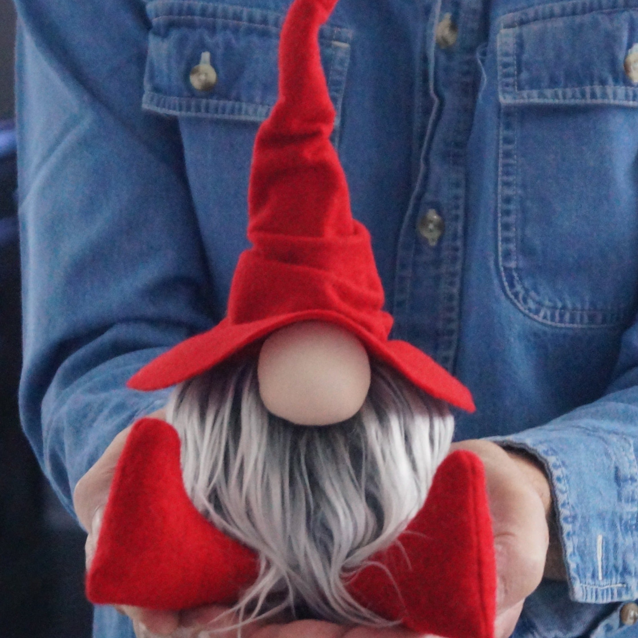 Red Librarian Wizard Gnome